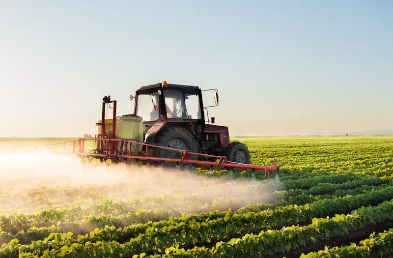Wind turbines in a vast field at dusk with dramatic sky